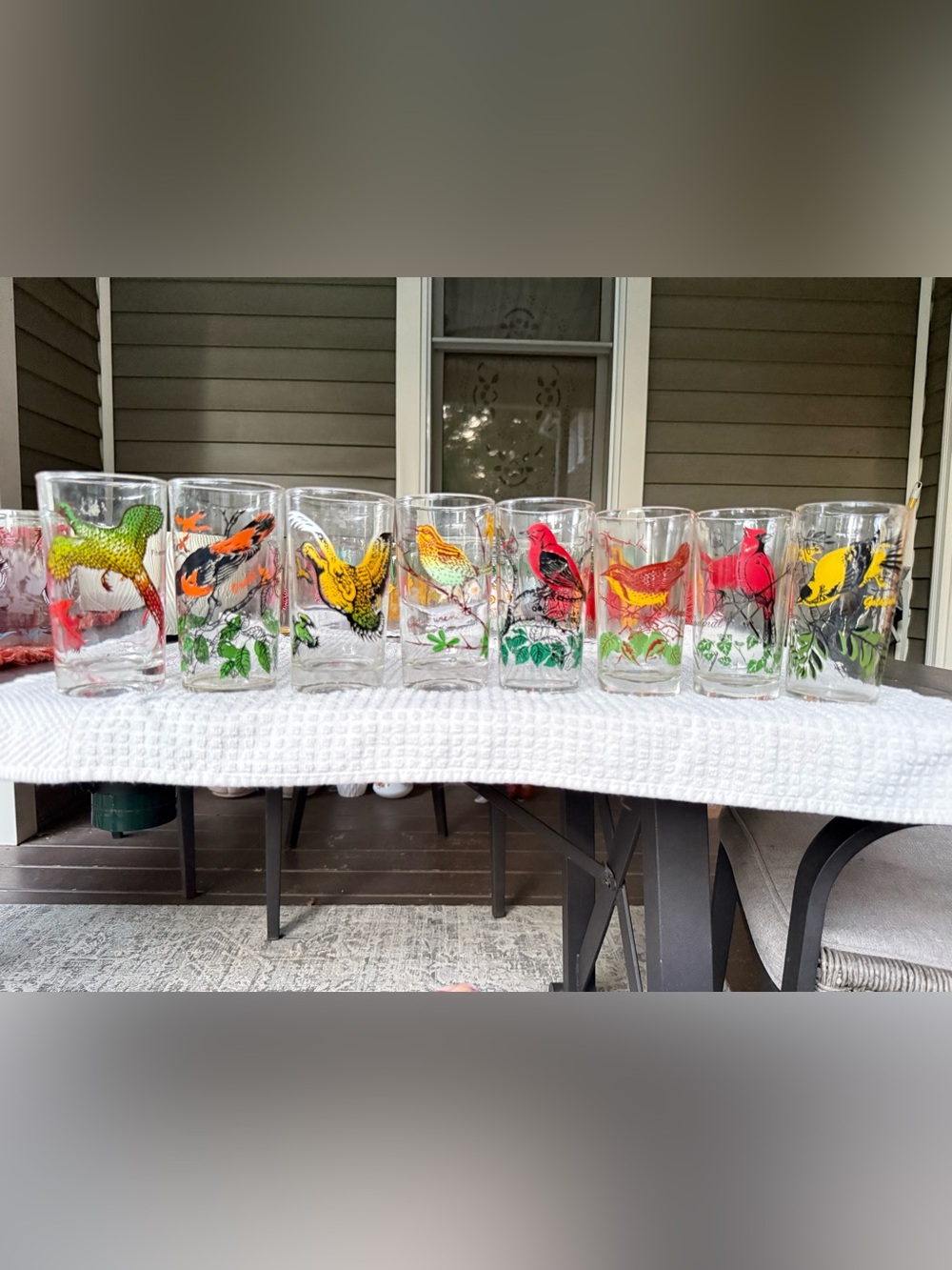 Vintage Bird-Print Glass Tumblers - Colorful Set